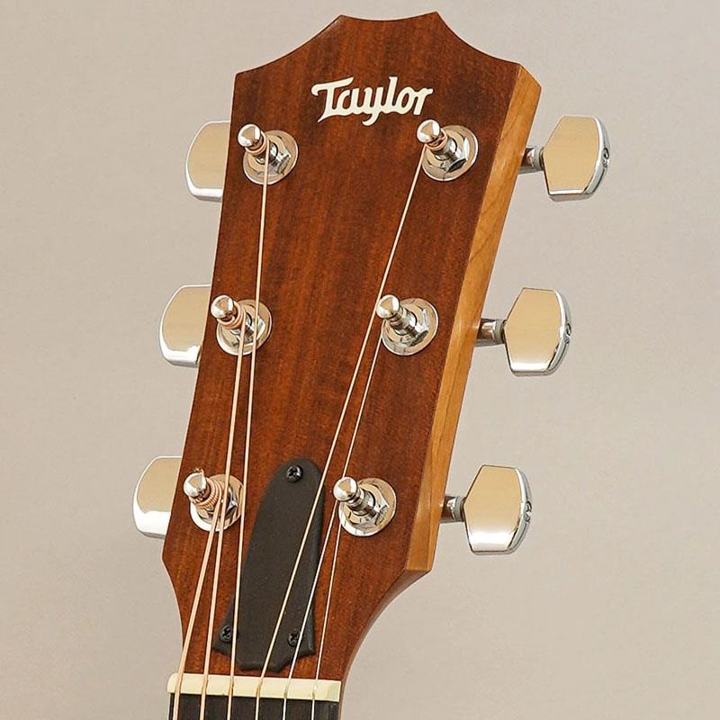TAYLOR 【半期決算セール】USED 中古 Academy 10 テイラー ｜イケベ
