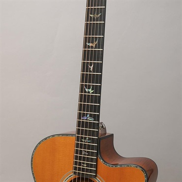 P.R.S. USED 中古 SE Angelus A50E (Nat/Black Gold Burst) ポール