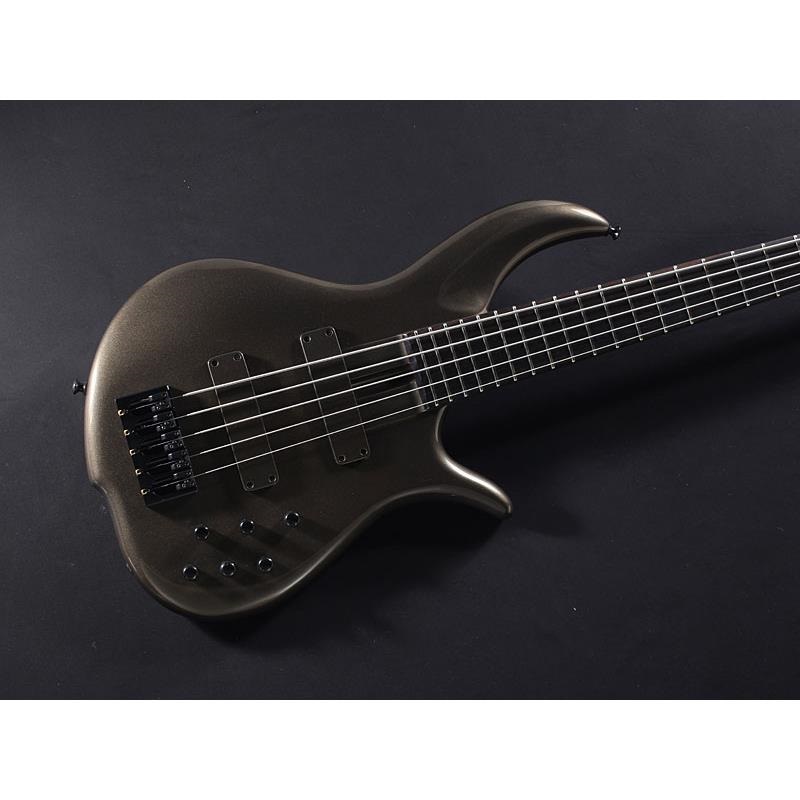F-bass BN5-ZE Macassar Ebony Fingerboard， Hipshot A Style Bridge 画像2