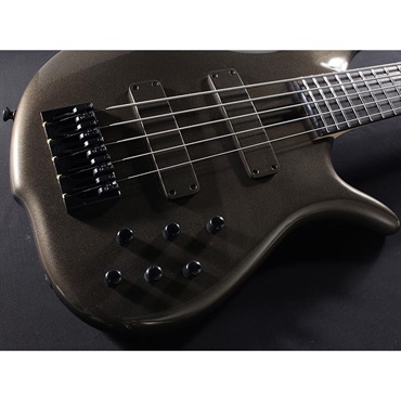 F-bass BN5-ZE Macassar Ebony Fingerboard， Hipshot A Style Bridge 画像3