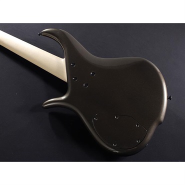 F-bass BN5-ZE Macassar Ebony Fingerboard， Hipshot A Style Bridge 画像10