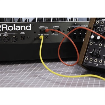 Roland (予約商品・2026年以降入荷予定・時期未定)TR-1000 RHYTHM CREATOR ローランド リズムクリエイター TR1000 画像8