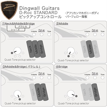 DINGWALL D-Roc Standard 4strings (Ducati Matte Pearl White) #18999 画像8