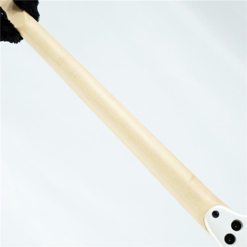 DINGWALL D-Roc Standard 4strings (Ducati Matte Pearl White) #18998 画像6