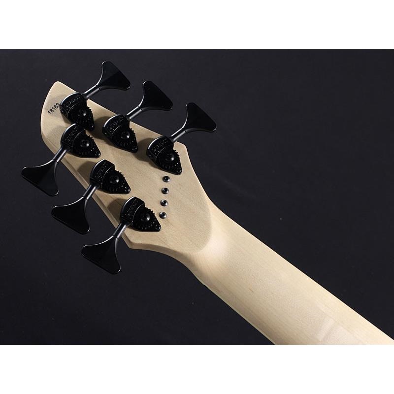 DINGWALL NG-3 6st Adam Nolly Getgood Signature Model (Ferrari