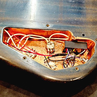 SPECTOR USED 中古 NS-2JFM 画像9