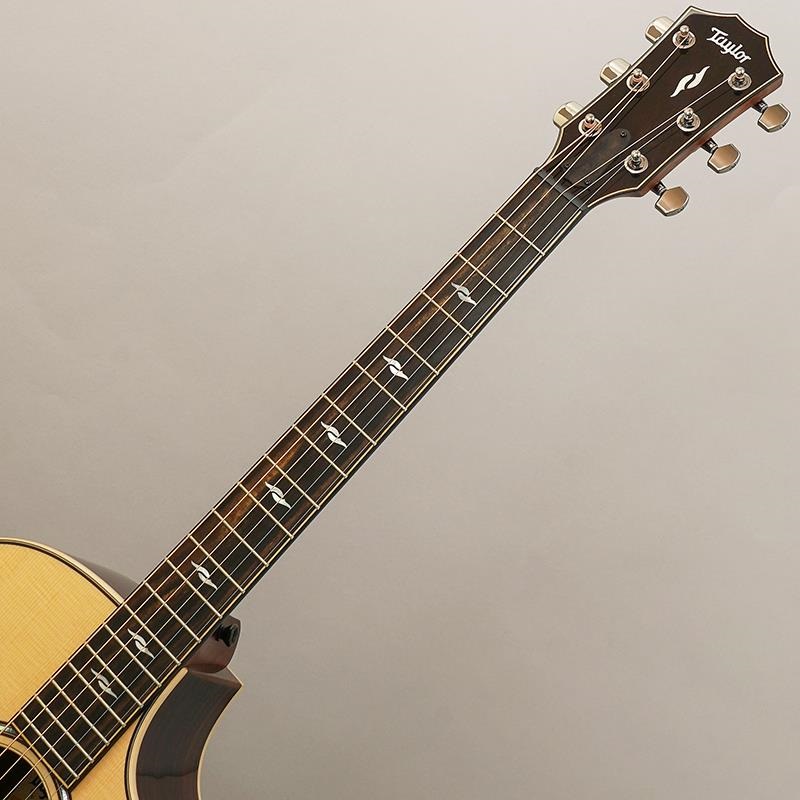 TAYLOR 814c テイラー ｜イケベ楽器店オンラインストア