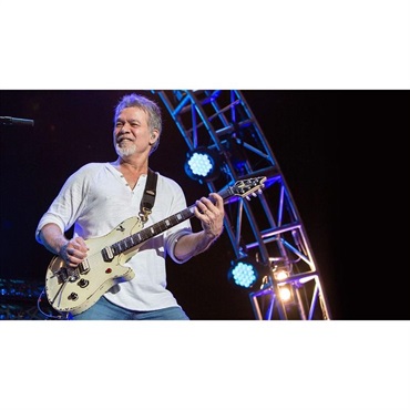 EVH 【10月7日発売】EVH Kill Switch 画像2