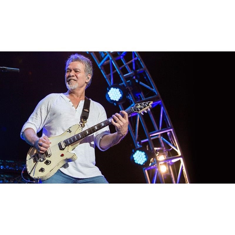 EVH 【10月7日発売】EVH Kill Switch 画像2