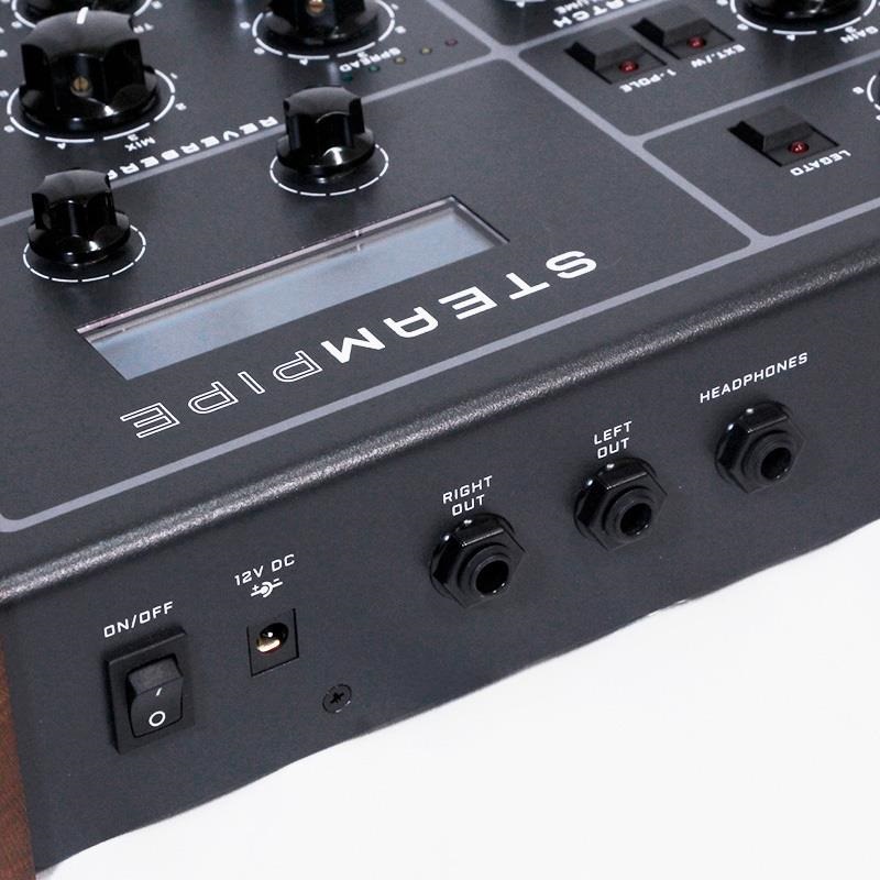 鍵盤楽器 Erica Synths Black Stereo Reverb Erica Erica Synths Black