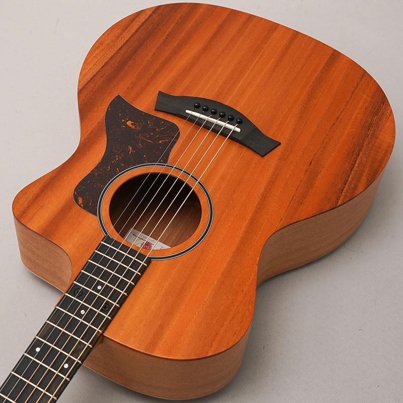 TAYLOR 24ce テイラー ｜イケベ楽器店オンラインストア