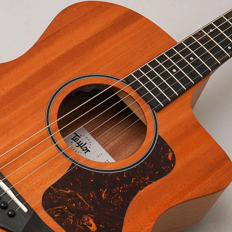 TAYLOR 24ce テイラー ｜イケベ楽器店オンラインストア
