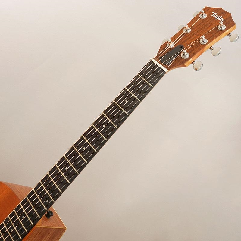 TAYLOR 24ce テイラー ｜イケベ楽器店オンラインストア
