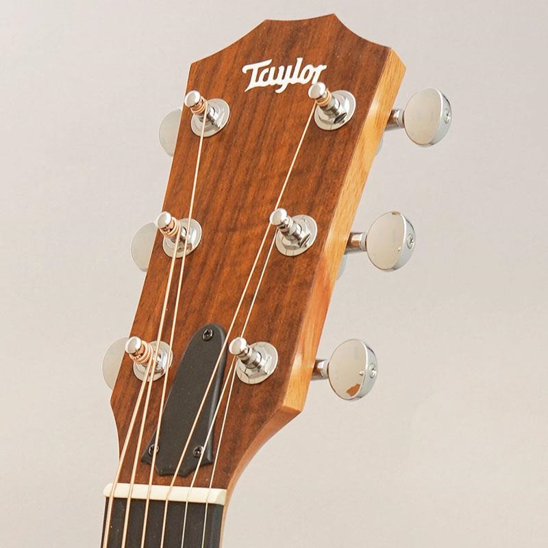 TAYLOR 24ce テイラー ｜イケベ楽器店オンラインストア