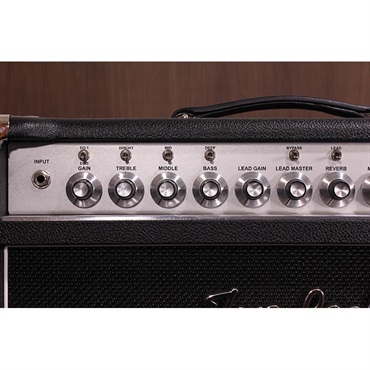 Two-Rock Bloomfield Drive 100Watt Head 画像3