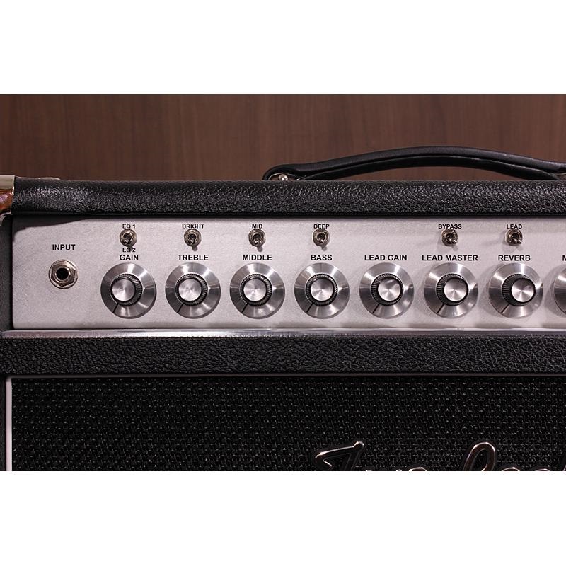 Two-Rock Bloomfield Drive 100Watt Head 画像3