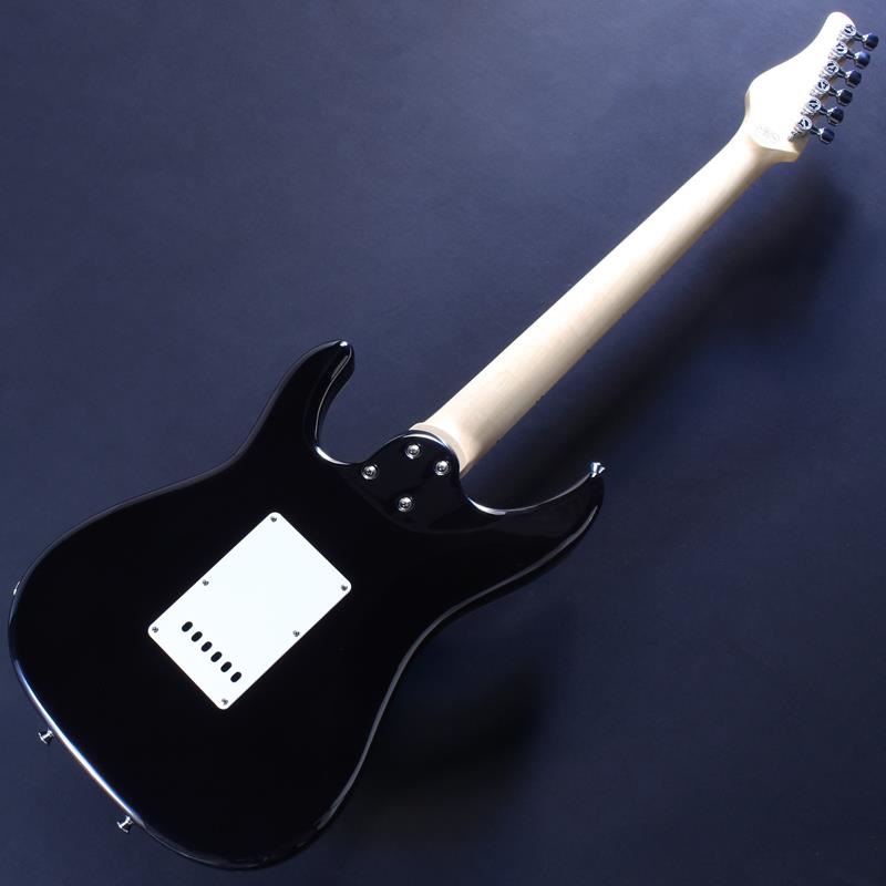 SCHECTER SD-2-24-AL-VTR (See-thru Purple/Maple) #S2312251 画像5