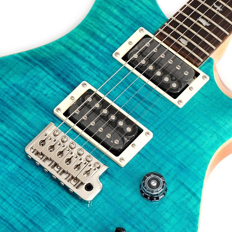P.R.S. SE Custom24 (Blue Matteo) ｜イケベ楽器店オンラインストア