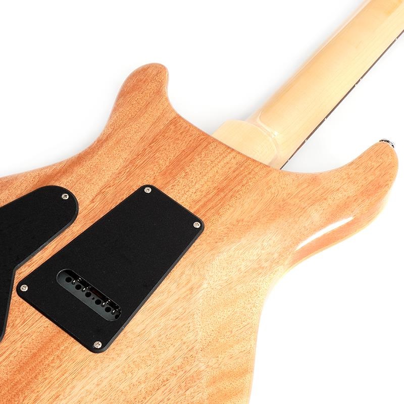 P.R.S. SE Custom24 (Blue Matteo) ｜イケベ楽器店オンラインストア