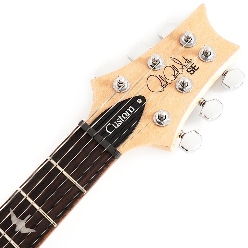 P.R.S. SE Custom24 (Blue Matteo) ｜イケベ楽器店オンラインストア