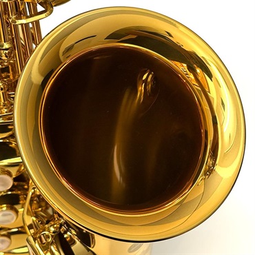 Selmer Paris USED 中古 セルマー アルトサックス Signature S/N:843xx7【調整&セットアップ後出荷】【5年間キーバランス調整無料】 画像5