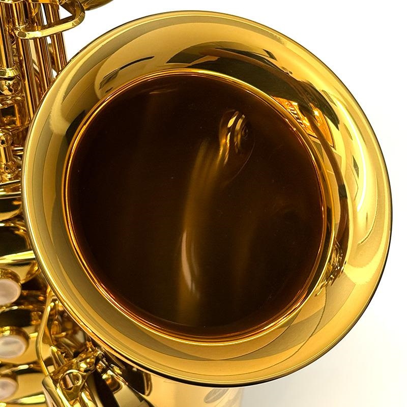 Selmer Paris USED 中古 セルマー アルトサックス Signature S/N