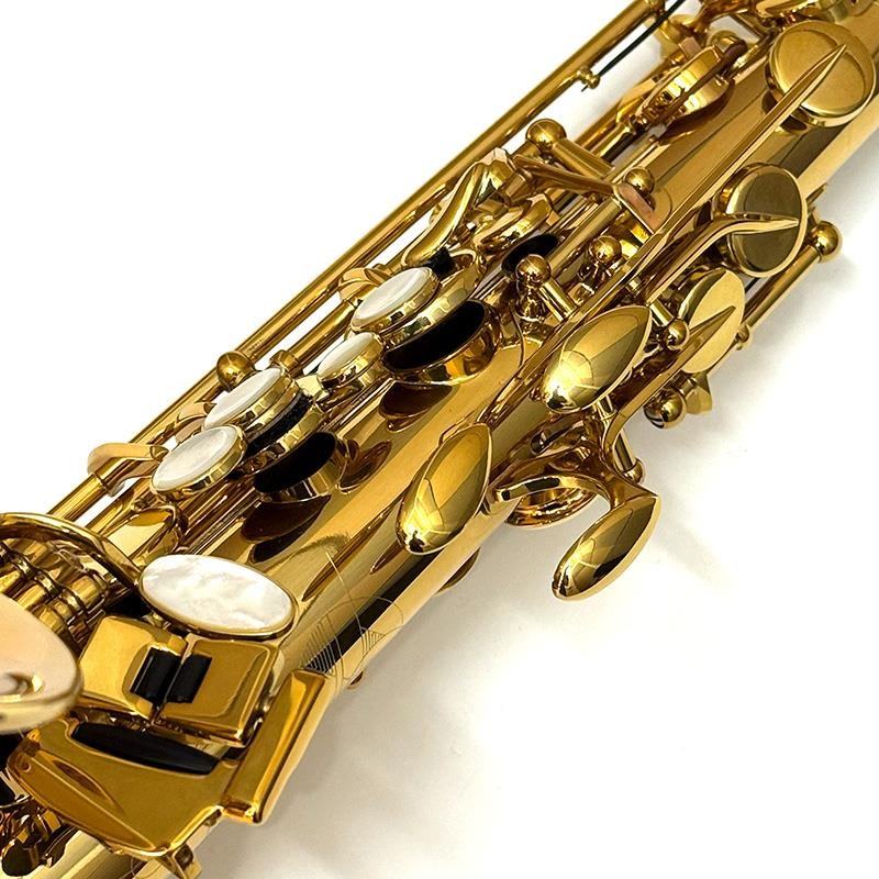 Selmer Paris USED 中古 セルマー アルトサックス Signature S/N