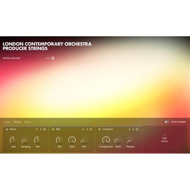 Native Instruments LCO Producer Strings (ネイティブインストルメンツ)(KONTAKTインストゥルメント)(オンライン納品)(2時間以内に納品) 画像2