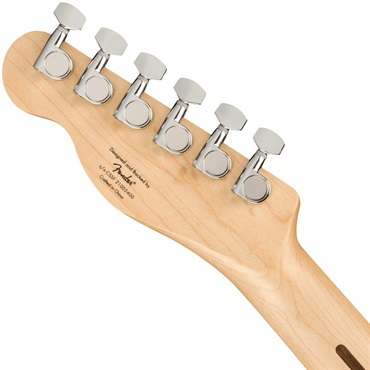 Squier by Fender FSR Affinity Series Telecaster Tortoise Shell Pickguard (Black/Laurel) 画像5