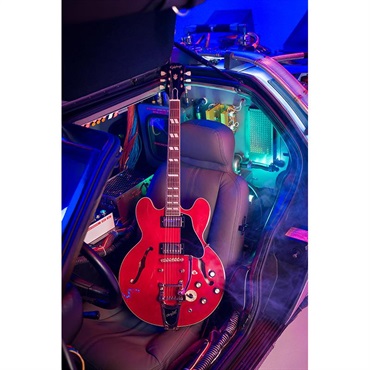 Epiphone Back To The Future ES-345 (Cherry Red) 画像9