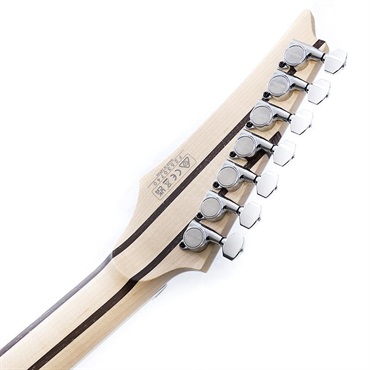 Ibanez HZK1 [葉月(HAZUKI) Model]  SN.F2530740 画像8