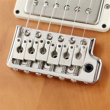 P.R.S. 【「THE IKEBE PRS VAULT」オープン記念キャンペーン】 S2 Special Semi-Hollow Reclaimed Limited (Nautural) [SN.S2085115] 【2025年生産品】 画像5