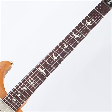 P.R.S. 【「THE IKEBE PRS VAULT」オープン記念キャンペーン】 S2 Special Semi-Hollow Reclaimed Limited (Nautural) [SN.S2085115] 【2025年生産品】 画像6