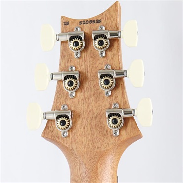 P.R.S. 【「THE IKEBE PRS VAULT」オープン記念キャンペーン】 S2 Special Semi-Hollow Reclaimed Limited (Nautural) [SN.S2085115] 【2025年生産品】 画像9