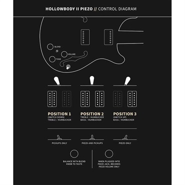 P.R.S. SE Hollowbody II Piezo (Peacock Blue) 画像9