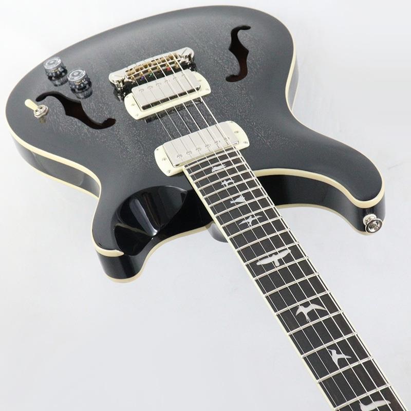 P.R.S. SE Hollowbody Standard (Dog Hair Smokeburst) ｜イケベ楽器店