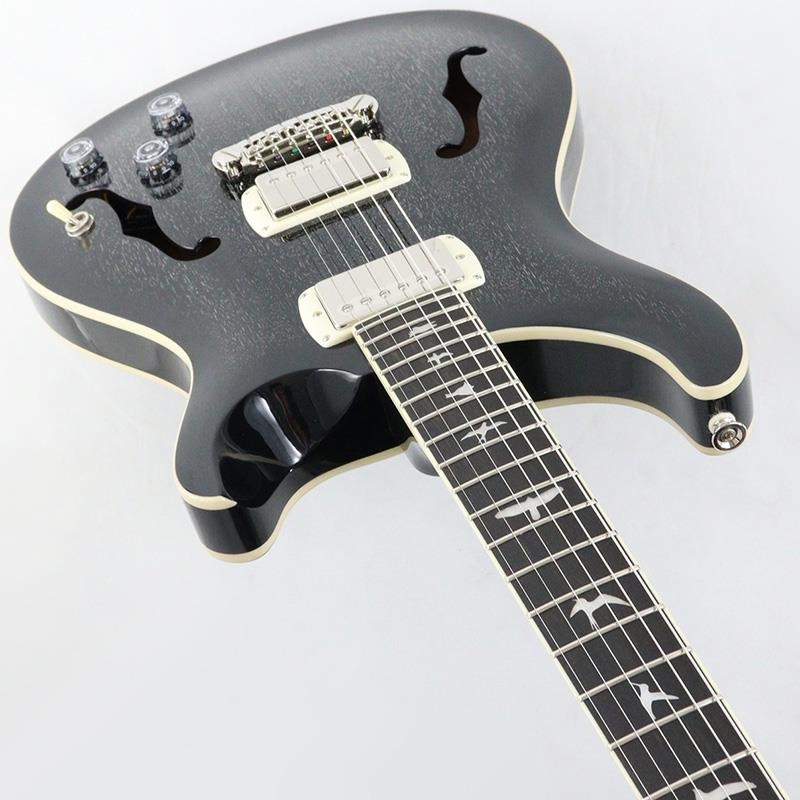 P.R.S. SE Hollowbody Standard Piezo (Dog Hair Smokeburst) 【2025