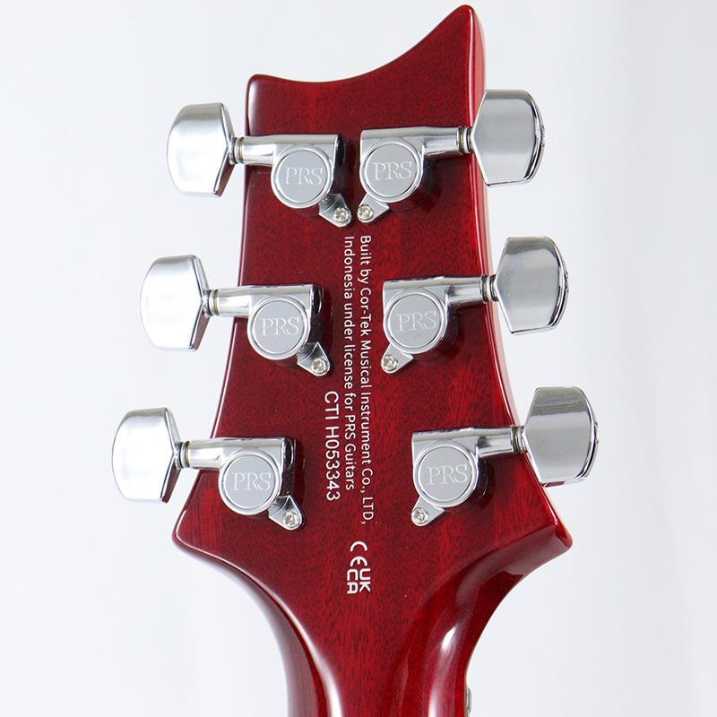 P.R.S. SE DGT Standard (Vintage Cherry / Moon Inlays) 【2025年生