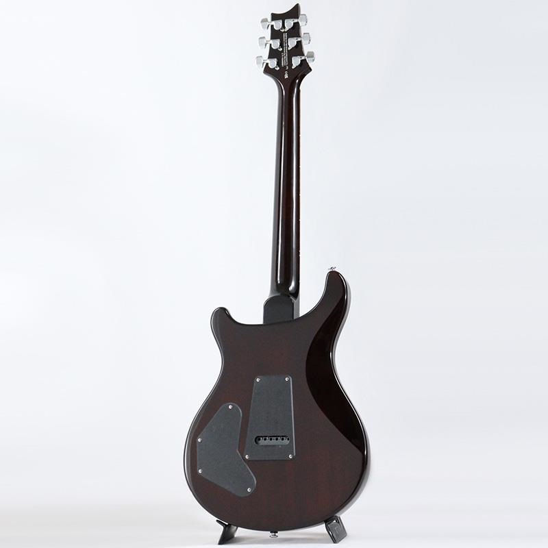 P.R.S. SE DGT Standard (McCarty Tobacco Sunburst / Moon Inlays