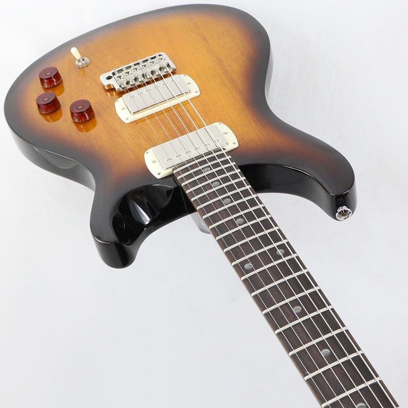 P.R.S. SE DGT Standard (McCarty Tobacco Sunburst / Moon Inlays