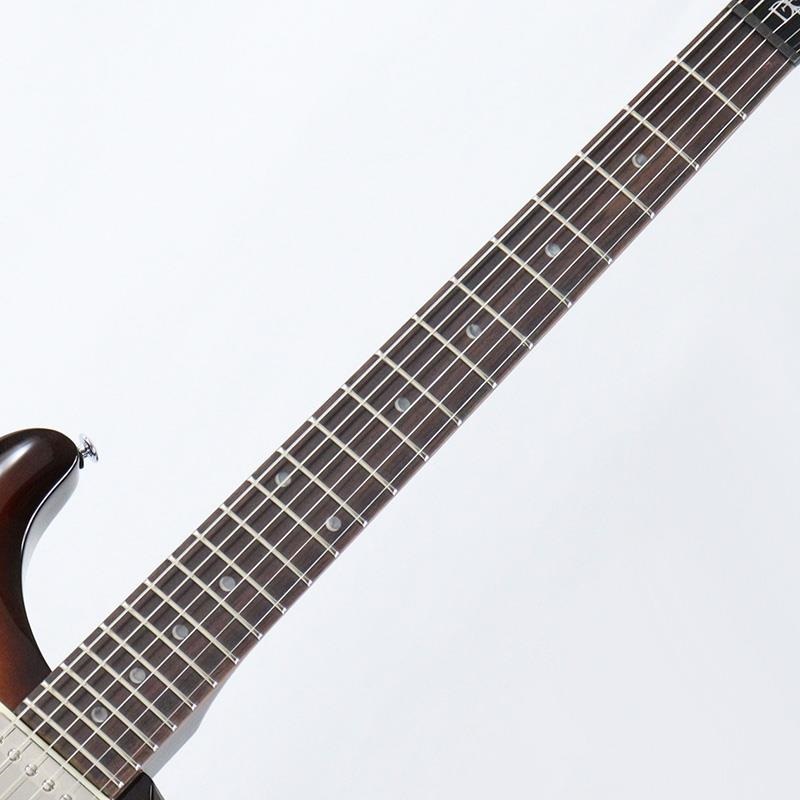 P.R.S. SE DGT Standard (McCarty Tobacco Sunburst / Moon Inlays