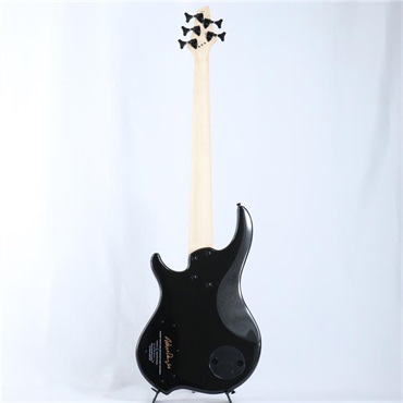 DINGWALL JT-3 5st John Taylor Signature Model (Metallic Black/PF) #18755 画像5