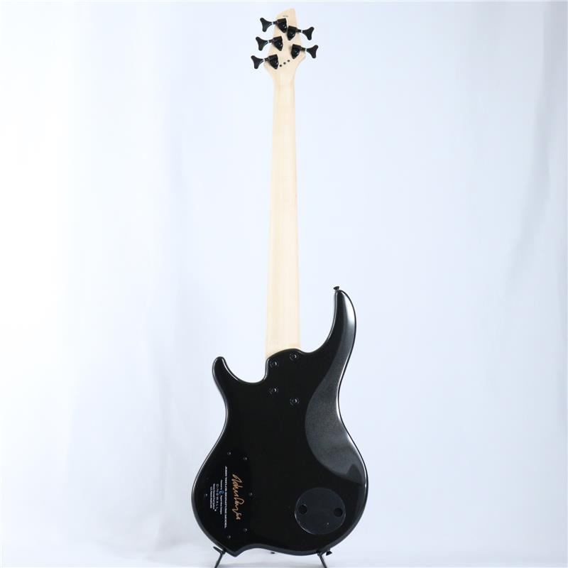 DINGWALL JT-3 5st John Taylor Signature Model (Metallic Black/PF) #18755 画像5