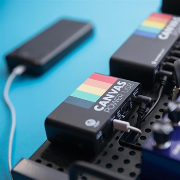 WALRUS AUDIO Canvas Power USB（パワーサプライ）※11月2日発売予定 画像6
