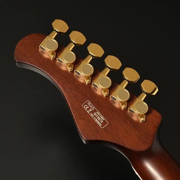 Bacchus Global Series BARON-CTM Alnico (Black) 画像7