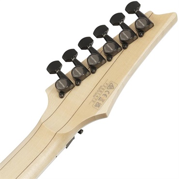 Ibanez Genesis Collection 540PIII-BK (Black) [Limited Model] 画像5