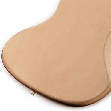 Fender USA American Professional Classic Jaguar (Faded Firemist Gold/Rosewood) 【The Autumn Winter 2025 Campaign】 画像7