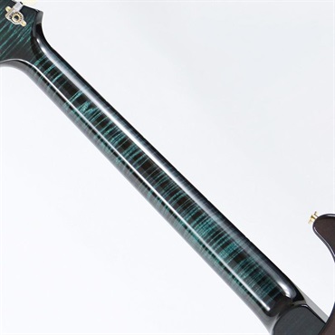 P.R.S. Ikebe 50th Anniversary Wood Library Special Semi-Hollow (Custom Color) [SN.0404913] 画像8