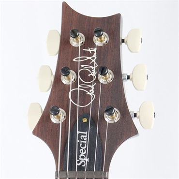 P.R.S. Ikebe 50th Anniversary Wood Library Special Semi-Hollow (Custom Color) [SN.0404913] 画像9