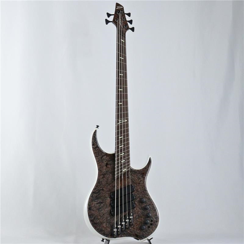 DINGWALL Z3 5strings Maple Burl Top/Alder Back/Wenge Neck (Transparent Charcoal and Ducati White) 画像1